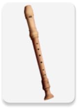 Flute Player Instrument Music