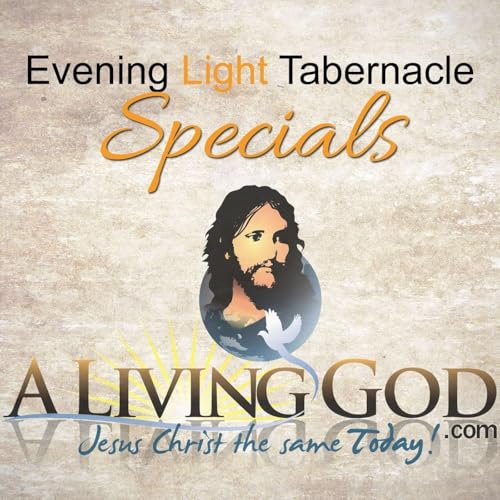 Evening Light Specials cover art