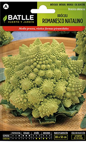 Semillas Hort�colas - Br�culi Romanesco Natalino - Batlle