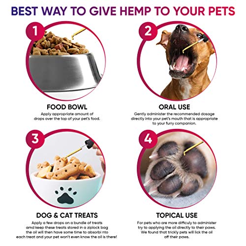 Bo Tree Pets Multivitamin Enhanced Hemp Oil For Dogs And Cats Made In Usa - With Omega 3, 6, And 9, Antioxidants And Multivitamins (2 Fl Oz) #TOP4