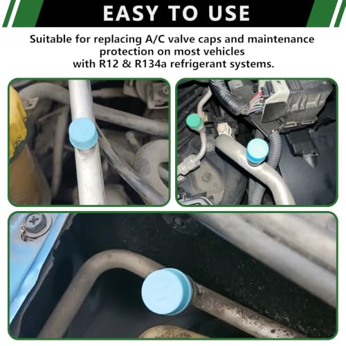 Japtend 120PCS A/C Dust Cap Kit