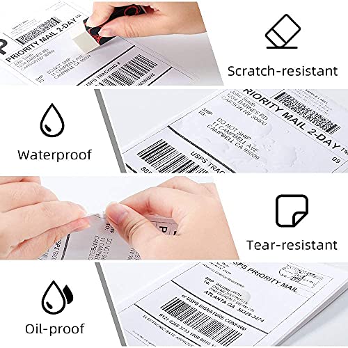 Phomemo Etiketten 4x6 500 Etiketten/Rolle, Versandetiketten Kompatibel mit MUNBYN, Phomemo, Polono Etikettendrucker, BPA-freie Thermoetiketten Selbstklebende für DHL, UPS, DPD-100 x 150 mm