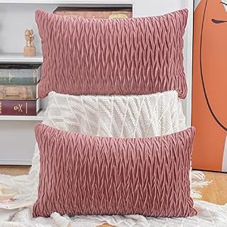 Madizz Pack of 2 Super Soft Velvet Decorative Cushion Covers with Texture Luxury Style Throw Pillow Cases Pillow Shell for Sofa Bedroom Pink 12x20 inch Rectangular