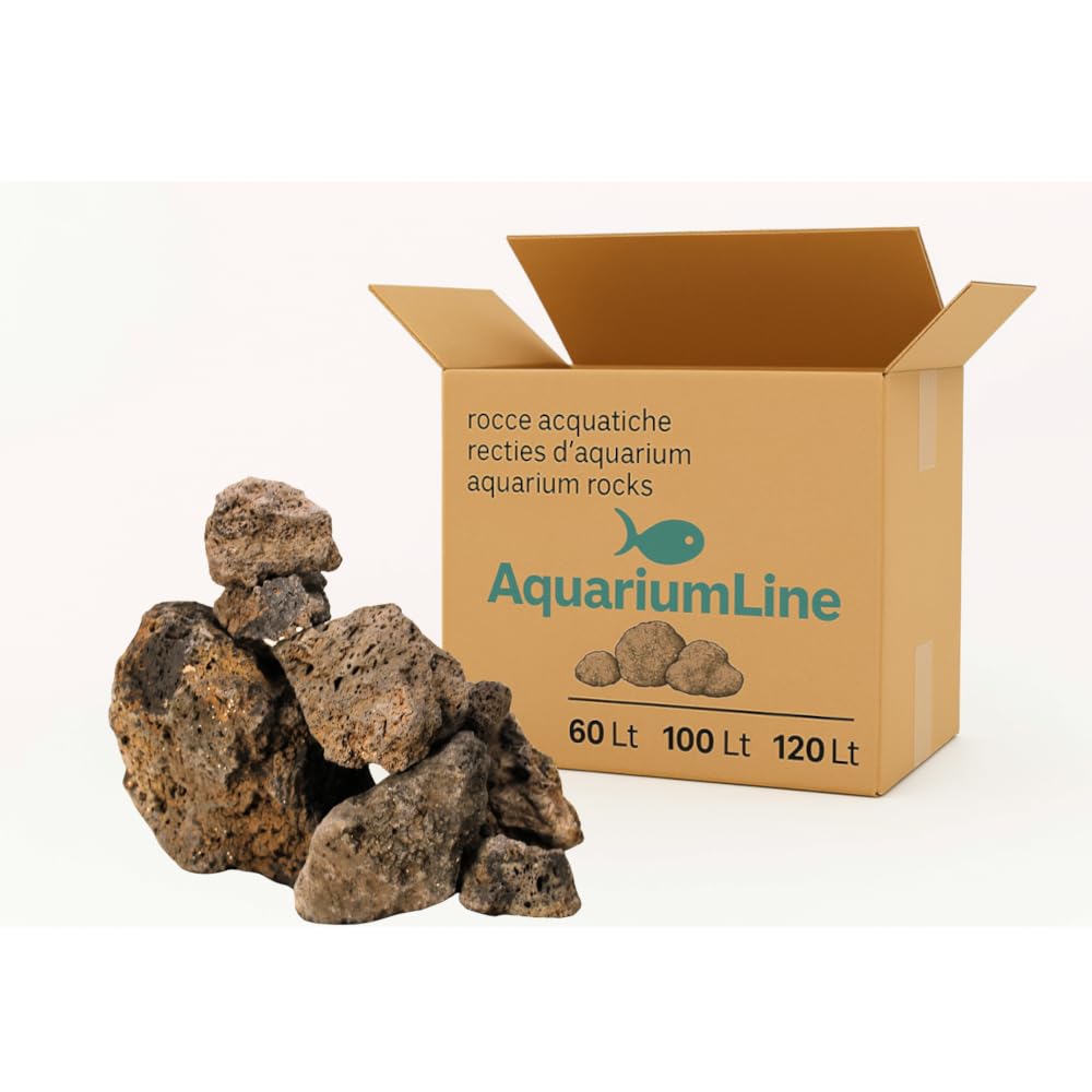 Kit de roches Whimar Blue Fairy pour aquarium – set aquascaping | roches bleu-grisâtres inertes, ne modifient pas le pH | disposition Iwagumi, habitat naturel pour poissons, idéal aussi bien pour les