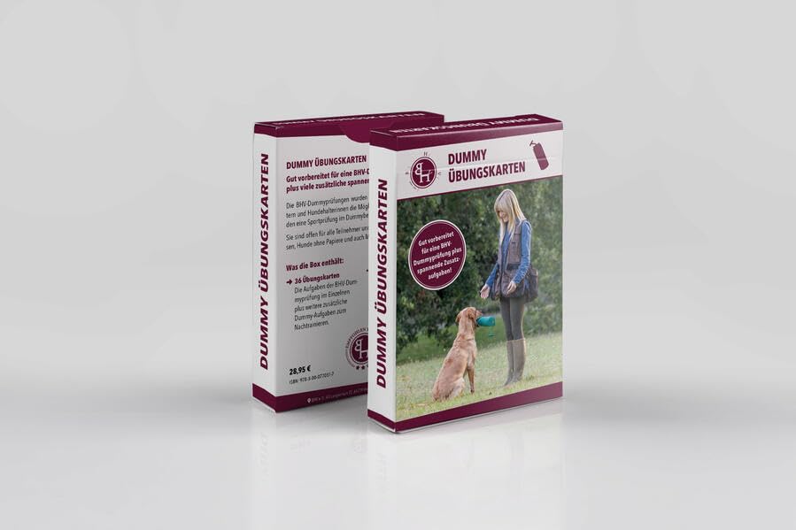 Dummy Übungskarten: Gut vorbereitet für eine BHV-Dummyprüfung plus spannende Zusatzaufgaben!