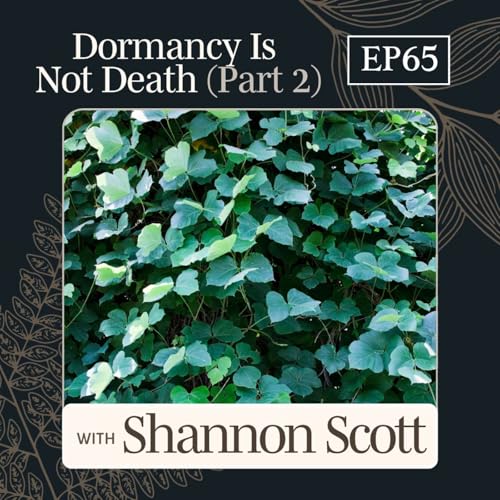 EMB EP 65 | Dormancy Is Not Death (Part 2)