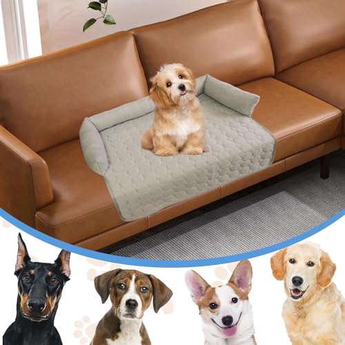 Lit de chien de refroidissement contre la chaleur estivale