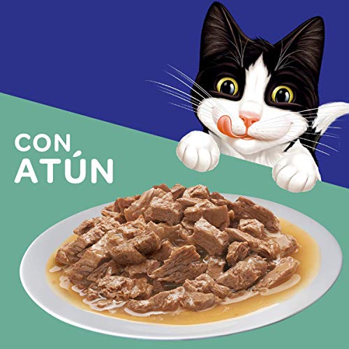 La Mejor comparativa de Mejores alimentos para gatos que Puedes comprar On-line. 24 Imagen adicional