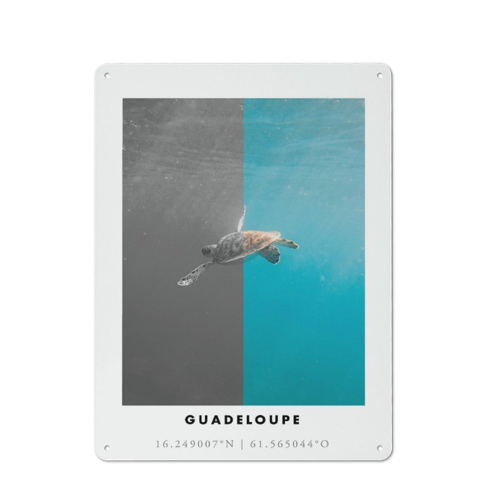 Junmoney Style-21 Sea Turtle Guadeloupe Rustic Tin Sign 40X30cm For Garden Room Or Summerhouse, For An Autumn Wall Display In Garden Room And Summerhouse