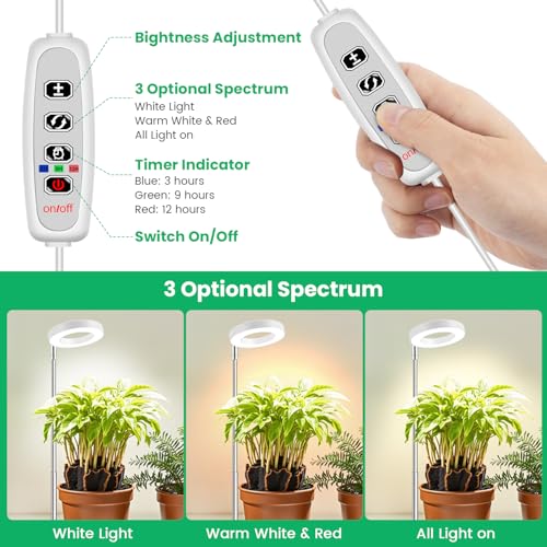 Image of Aokrean Halo Grow Lights for Indoor Plants, Full Spectrum with Base 5 Pack | 3.5in White Growing Lamp for Small Plants Herbs, Desk /Plug Install, 6.5-26in Adjustable, 3 Spectra, Auto Timer, Dimmable