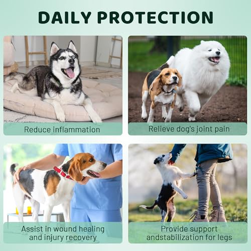 Image of Dog Knee Brace for Torn ACL Hind Leg Dog Leg Braces for Back Leg Front Torn for Hip Dysplasia, Dog Arthritis, Luxating Patella