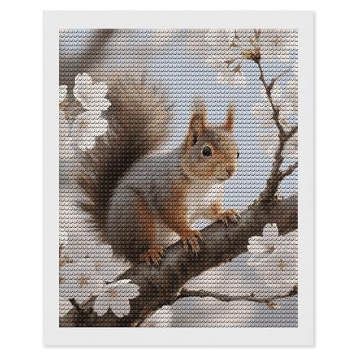 Peinture diamant écureuil 5D 40x50 cm kit complet adulte débutant