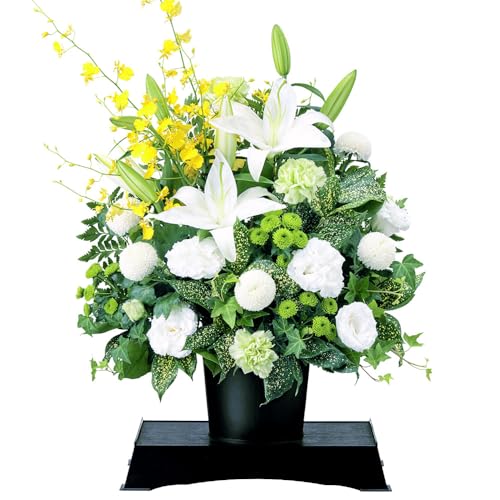 Ě݂ ԃL[sbg   @v @    ~ ފ ~V~ l\  ̃AWgiԑtj yr00-524178