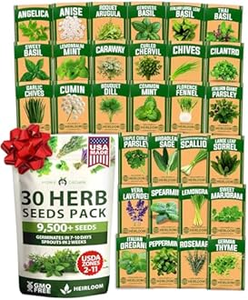 HOME GROWN 30 Herb Seeds for Planting 9,500+ Non-GMO Heirloom Seeds | Extra Large Variety Pack Herb Kit – Indoor Outdoor & Hydroponic | Culinary Seed Set | Grow Your Own Herbs | Gardening Gift
