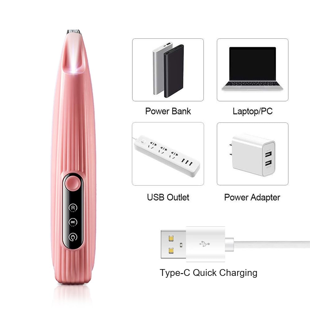 Tondeuse électrique Chien, Tondeuse Pattes Faible Bruit à Lumière LED, Rasoir Chat Chien étanche USB, pour Couper les Poils du Chien Autour des Pattes Yeux Oreilles et Visage