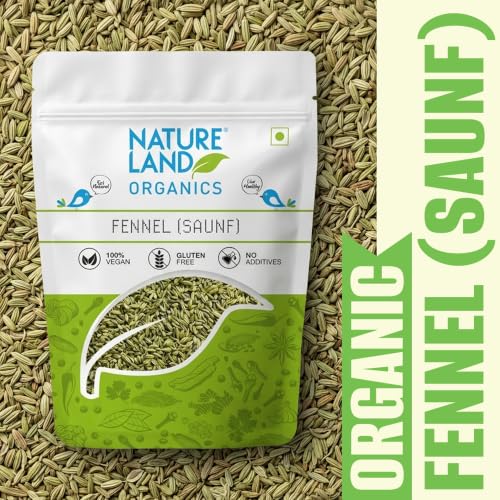 Image of Natureland Organics Fennel (Saunf) 100 gm - Organic Saunf