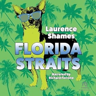 Florida Straits Audiolibro Por Laurence Shames arte de portada