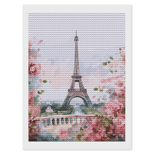 Kit peinture diamant 5D adulte débutant motif Paris et fleurs toile 30x40 cm