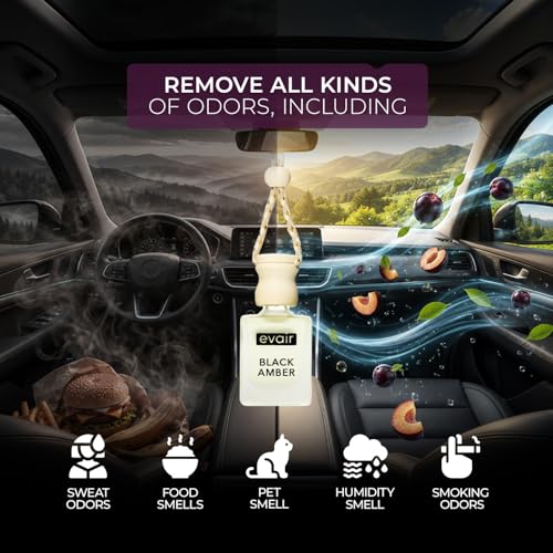 Image of Evair Car Air Freshener with Essential Oils Fragrance in Glass Bottle with Wooden Diffuser Lid | 10 ml - Pack of 1 (Black Amber)