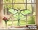 AuroAura Green Luna Moth Stained Glass Window Hanging - Handmade Real Glass Suncatcher for Women, Mom, Grandma - Elegant Green Butterfly Gifts Box Home Decor (H5.8xW7.3 Inch)