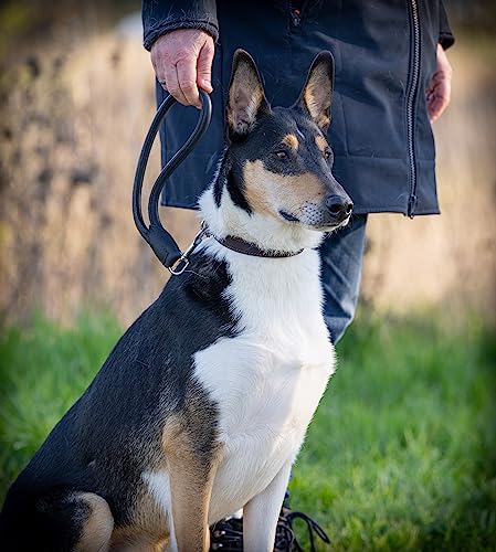 Kurzführer Hundeleine Bear 30cm - Kurze Hundeleine aus Echt-Leder rundgenäht – Hunde Lederleine kurz (Schwarz)