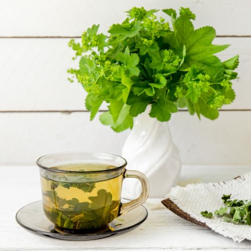 Foto von Alpi Nature Frauenmanteltee BIO 100g, Frauenmantelkraut bio geschnitten