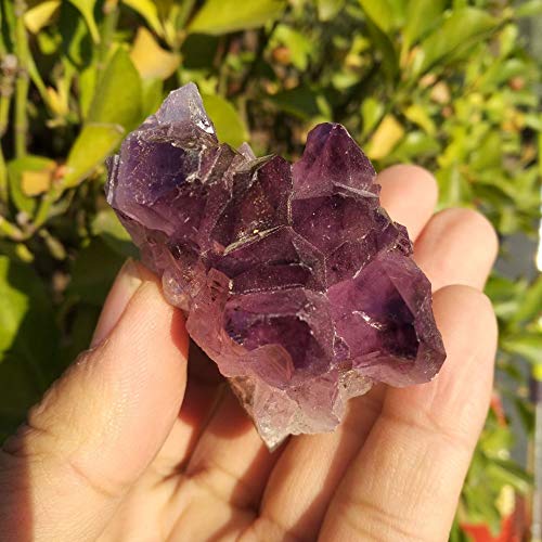 Espécimen de racimo de Amatista de Cuarzo de Cristal de geoda de Amatista Natural de Uruguay Inicio Colecciones