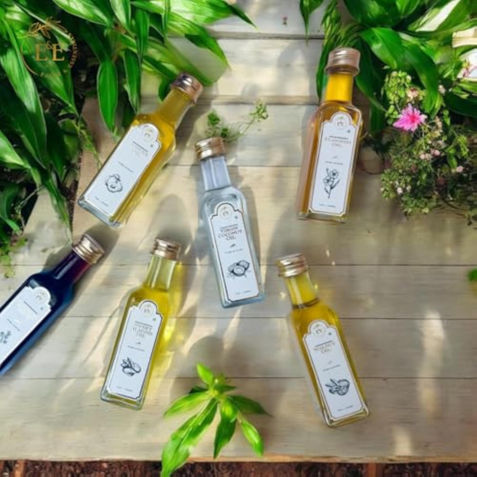 Woodpressed Almond, Walnut, Apricot Oil Combo - 100ml x 6