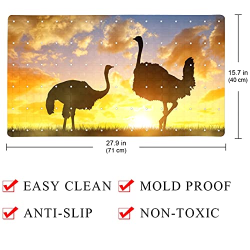 Alfombrilla de baño antideslizante rectangular de 71 x 40 cm para ducha con avestruz 5