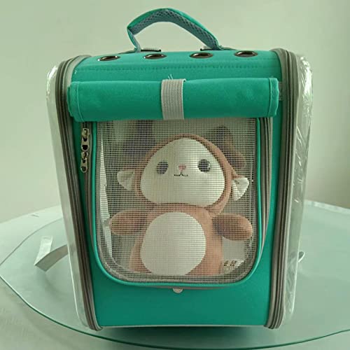 Mochila portátil para perros verdes para pasear cómodamente con tu gato en la ciudad 6