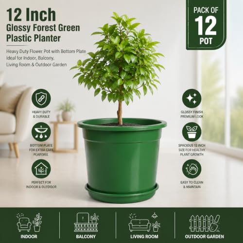 Image of 12 Inch Glossy Forest Green Plastic Planter with Bottom Plate | Heavy Duty Flower Pot with Tray for Indoor Home Decor, Balcony, Living Room & Outdoor Garden (12 Pot, Forest Green)