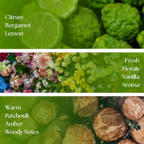Image of Fresh Aqua Luxury Car Perfume | Long Lasting Car Fragrance & Car Freshener | 400 Presses, Up to 133 Days | Press to Diffuse 40ml Glass Bottle | Ghangaria Snow Mist