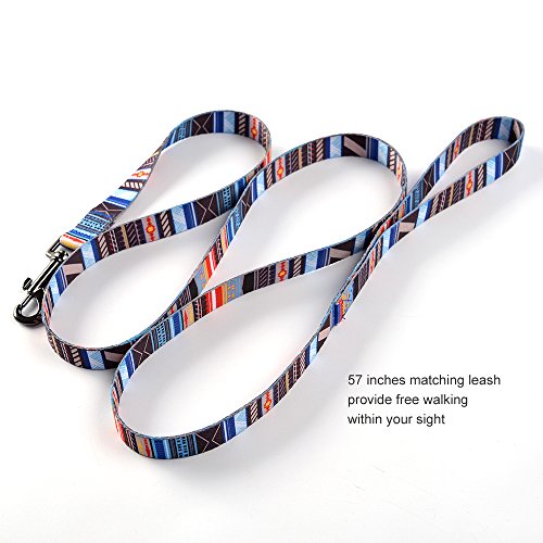 Ihoming Dog Collar And Leash Set For Daily Outdoor Walking Running Training, Splicing Design For Small Boys Girls Dogs Cats Pets, S-Up To 20Lbs #TOP2