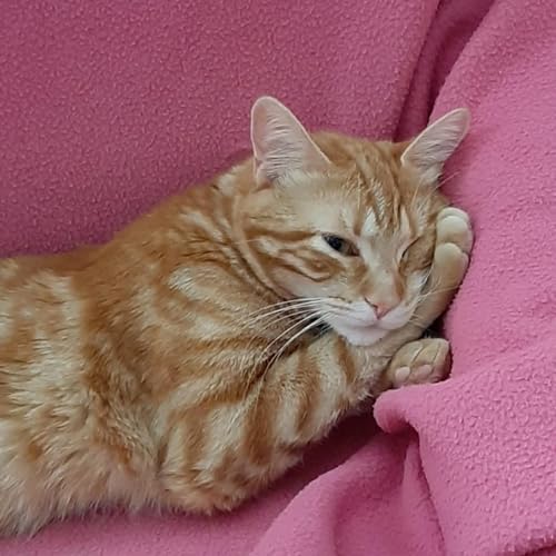 CAP&Iacute;TULO 103 - &iquest;QU&Eacute; ES la FELICIDAD para m&iacute;? &iquest;C&oacute;mo quiero ser feliz?