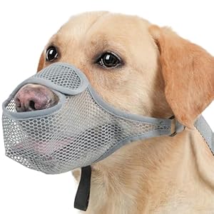 Bsbkoj Maulkorb Atmungsaktives Mesh Design