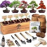 AVERGO Bonsai Tree Kit for Beginners β 5X Unique Japanese Bonzai Trees | Complete Indoor Bonsai Starter Kit for Growing Bonsai Plants with Tools & Planters β DIY Gardening Gifts for Women & Men
