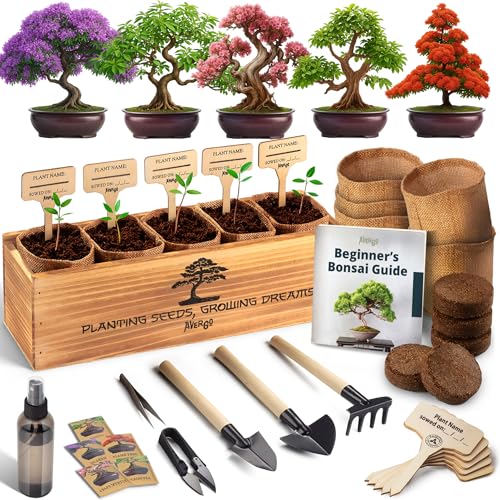 AVERGO Bonsai Tree Kit for Beginners &ndash; 5X Unique Japanese Bonzai Trees | Complete Indoor Bonsai...