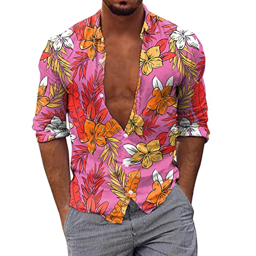 Chemises pour homme avec boutons cachés et coupe ajustée