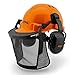 Casque forestier, avec fonction de base