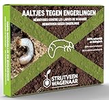 Strijtveen & Wagenaar