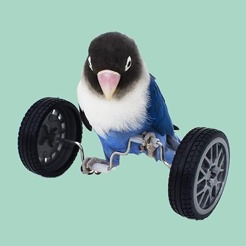 Miniatura 4 de Juguete de entrenamiento de inteligencia de pájaros, rompecabezas de loro, juguete de coche de equilibrio para pájaro pequeño y mediano, juguete