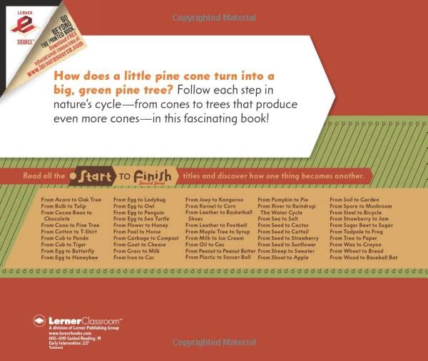 From Cone to Pine Tree (Start to Finish, Second Series) - Image 2