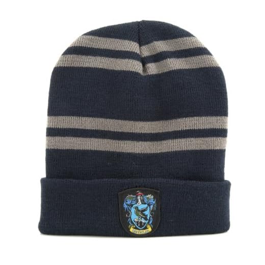 Cinereplicas- Capó Harry Potter, Color ravenclaw, Standard (Fame Bros 3760166568291)