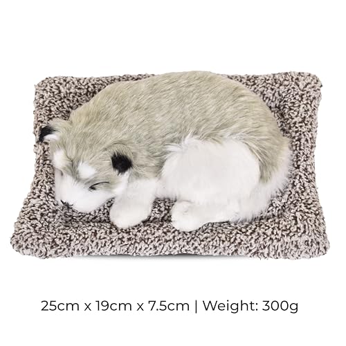 Image of Premium Sleeping Puppy Decor Plush with Mat | Realistic Soft Fur Dog Showpiece for Home, Office & Car Dashboard | Pet Lover Aesthetic Gift (25 x 19 x 7.5 cm) (Husky)