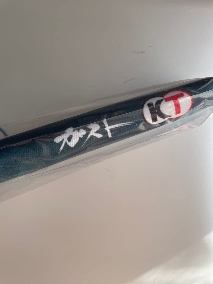 Amazon.co.jp: ライザ＆クラウディアバレンツ 描き下ろしB2