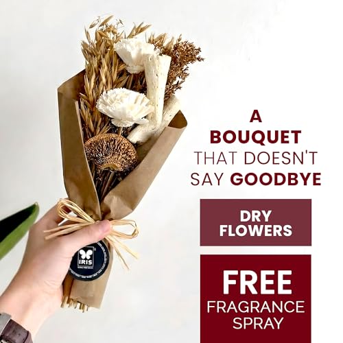 Image of IRIS Ivory Meadow Dry Flower Bouquet with 5ml Fragrance Spray | A Thoughtful Gift with Long-Lasting Beauty