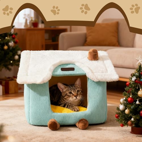 Maison d'hiver fermée pour chat au design mignon et durable
