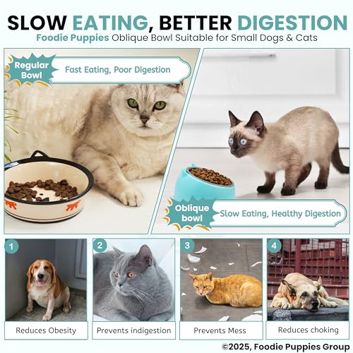 Image of Foodie Puppies Elevated Cat Bowl - (Oblique, Blue) | 15 Tilted Bowl Food & Water Drinking Feeder with Non-Skid Base | Durable, Anti-Vomiting, Stress-Free Bowl Suitable for Cats, Puppies & Small Dogs