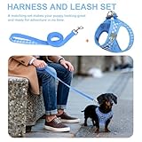 AIITLE Atmungsaktives Hundegeschirr aus Netzstoff, No-Pull-Westengeschirre mit reflektierenden Bändern, verstellbare Haustier-Outdoor-Geschirre für kleine und mittelgroße Hunde, Blau, M
