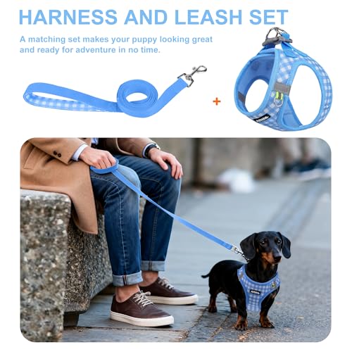 AIITLE Atmungsaktives Hundegeschirr aus Netzstoff, No-Pull-Westengeschirre mit reflektierenden Bändern, verstellbare Haustier-Outdoor-Geschirre für kleine und mittelgroße Hunde, Blau, M